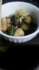 鶏肉茄子コチジャン炒め