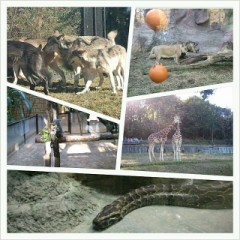 今日は雨だよぉ