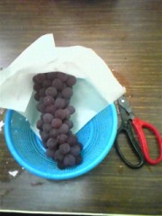 ぶどうかり