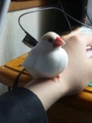 部屋が大変なことになってます