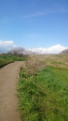 【お題日記】今まで何回引越した？