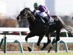 【お題日記】好きな四字熟語