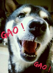 肩が痛い…(；＿；)