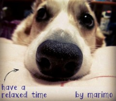 これからお風呂ﾀｲﾑ(∩ﾟwﾟ∩)