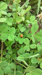 めっちゃ久々に