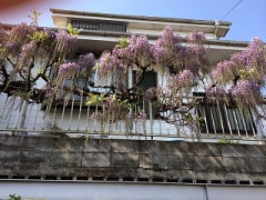 【お題日記】GWに撮った思い出の一枚を見せて!