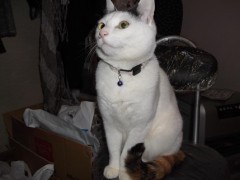 寒くなってきましたね