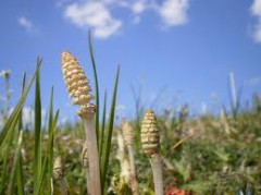 【お題日記】異性に言われたら興奮するセリフは？