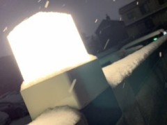 雪だ！(｡･о･｡)