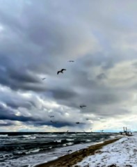 【お題日記】「このまま帰りたくない」って思う瞬間は？しをのです(ΦωΦ*)