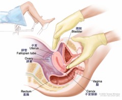 逝かないでネ！