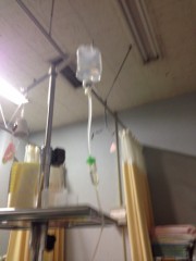 どーやら。。。