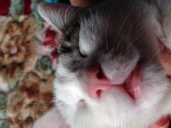 少し前ですが。