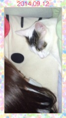 体調崩れ(Ｔ＿Ｔ)