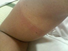 今日の焼け具合●