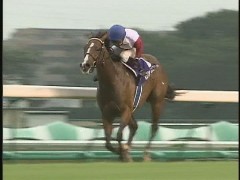 スプリンターズＳレース回顧！