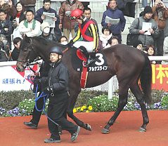 気になる馬発見！