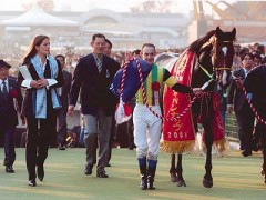 スワンステークス！