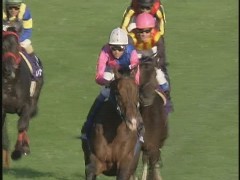 次はちと早い？エリザベス女王杯！