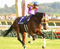 エリザベス女王杯