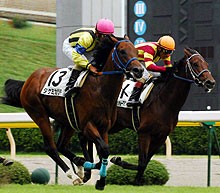 皐月賞予想！今度こそ！！