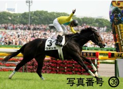 次ヴィクトリアマイルですね。