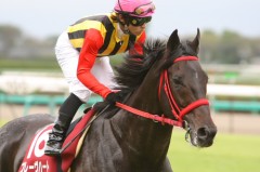 久しぶりの予想UP！