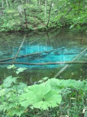 色々ありました。