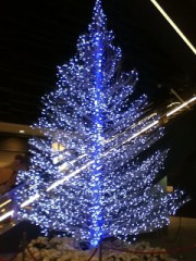 【お題日記】クリスマスイブにしたいことベスト3！