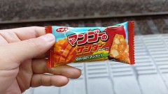 マンゴー　その２