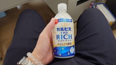 今日はカルピスの日