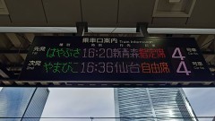 暑いですがお出かけ