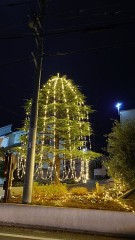 今日から１２月