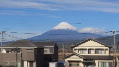 【お題日記】2025年はどんな年だった？