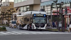 【お題日記】毎日何歩歩いてる？