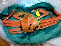 【お題日記】家でカニ食べる？