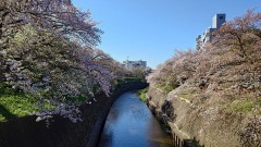 【お題日記】人が幸せになるために一番大事なものは何？