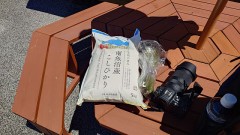 新潟日帰り旅