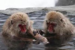 【お題日記】心地いいってどんなカンジ？