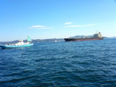 フィッシュ　オン！