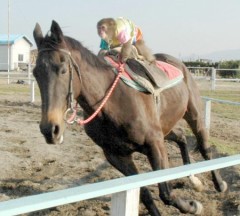 この騎手のひたむきさ・・
