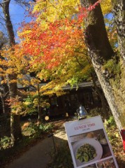 今朝は寒かったですね～。