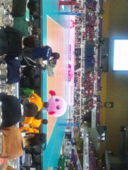 バレーボールW杯