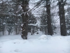 北海道らしさ満喫