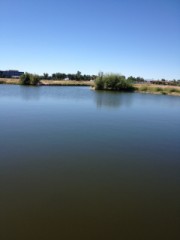 【お題日記】好きなCM、嫌いなCM