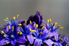 Ｌ(●´ω｀●)ｵﾋｻｧ♪(照)