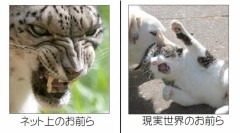 あの人たちは、こっちの人がおるから、あっちにおるんやな。