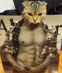 次の英語を訳しなさい。→Fixed race