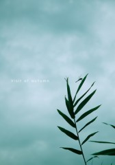 9月になりました。