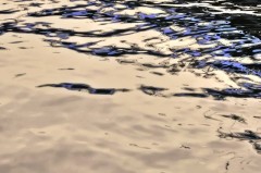 【お題日記】過去に戻れたらどんな人生にしたい？